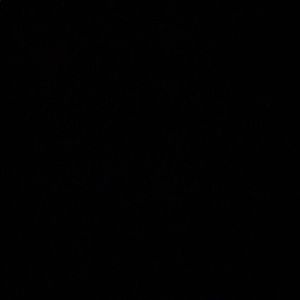 Meet your Posher, Ericka